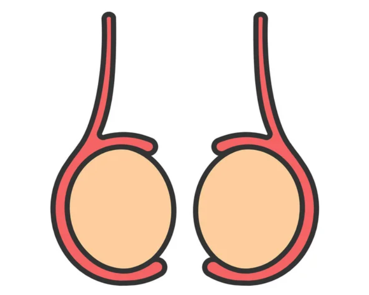 testicular surgery cost in india