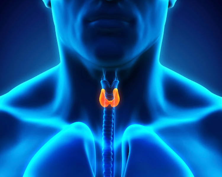 Best-Thyroid-Doctor-In-Hyderabad